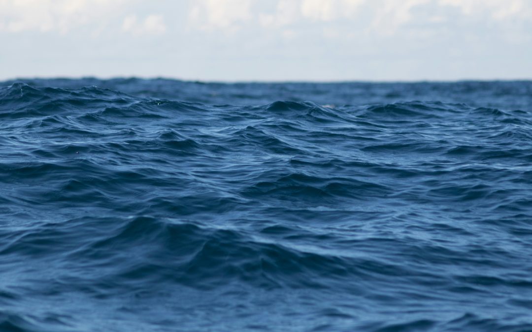 Comment nager dans un océan bleu efficacement ?